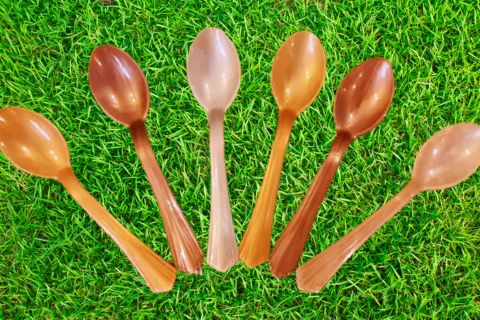 Disposable Dinning Spoon