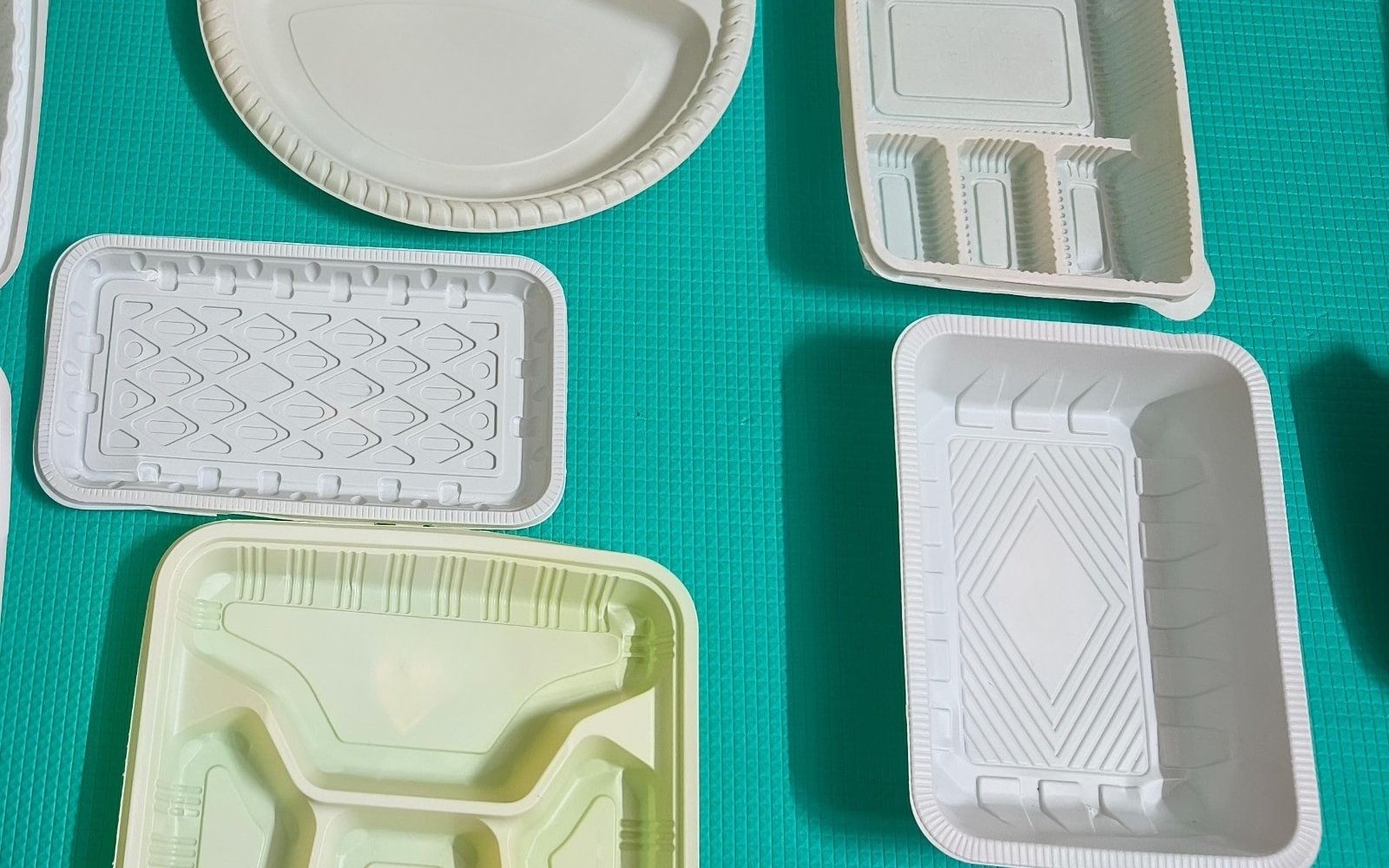 Disposable Food Container