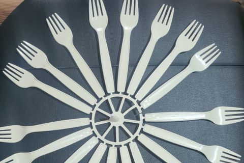 Disposable Fork