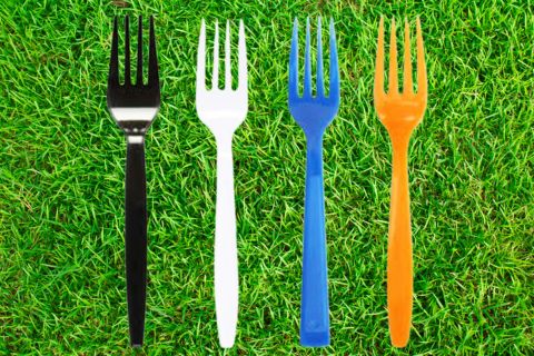 Disposable Fork