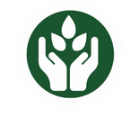 Non Toxic