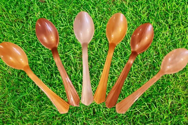 Disposable Dining Spoon