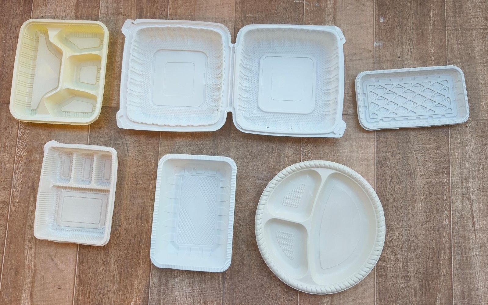 Disposable Food Container Gallery